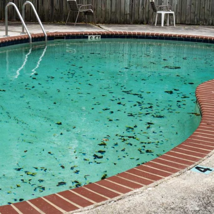 Pool-opening-mistakes-buds-blog